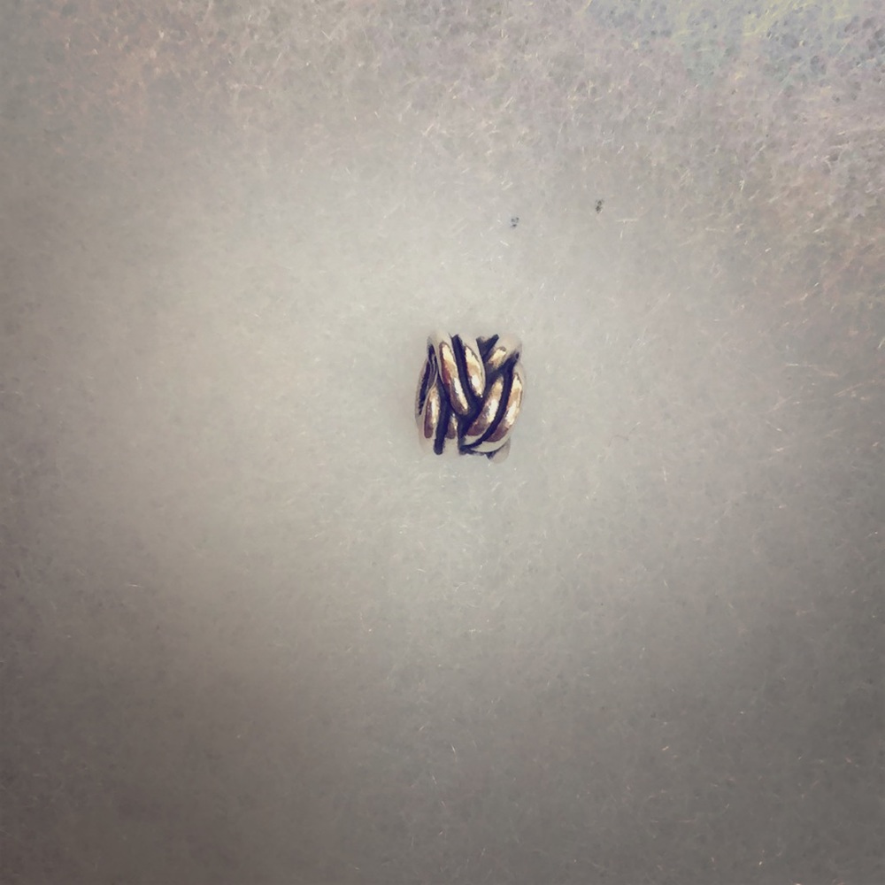 Pandora charm